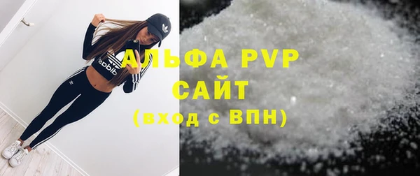 индика Балахна