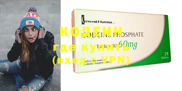 индика Балахна