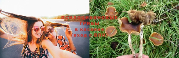 apvp Балабаново