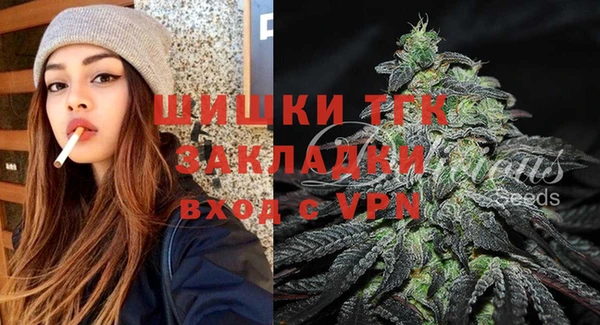 индика Балахна