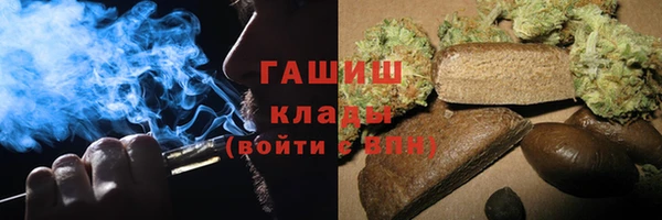 индика Балахна